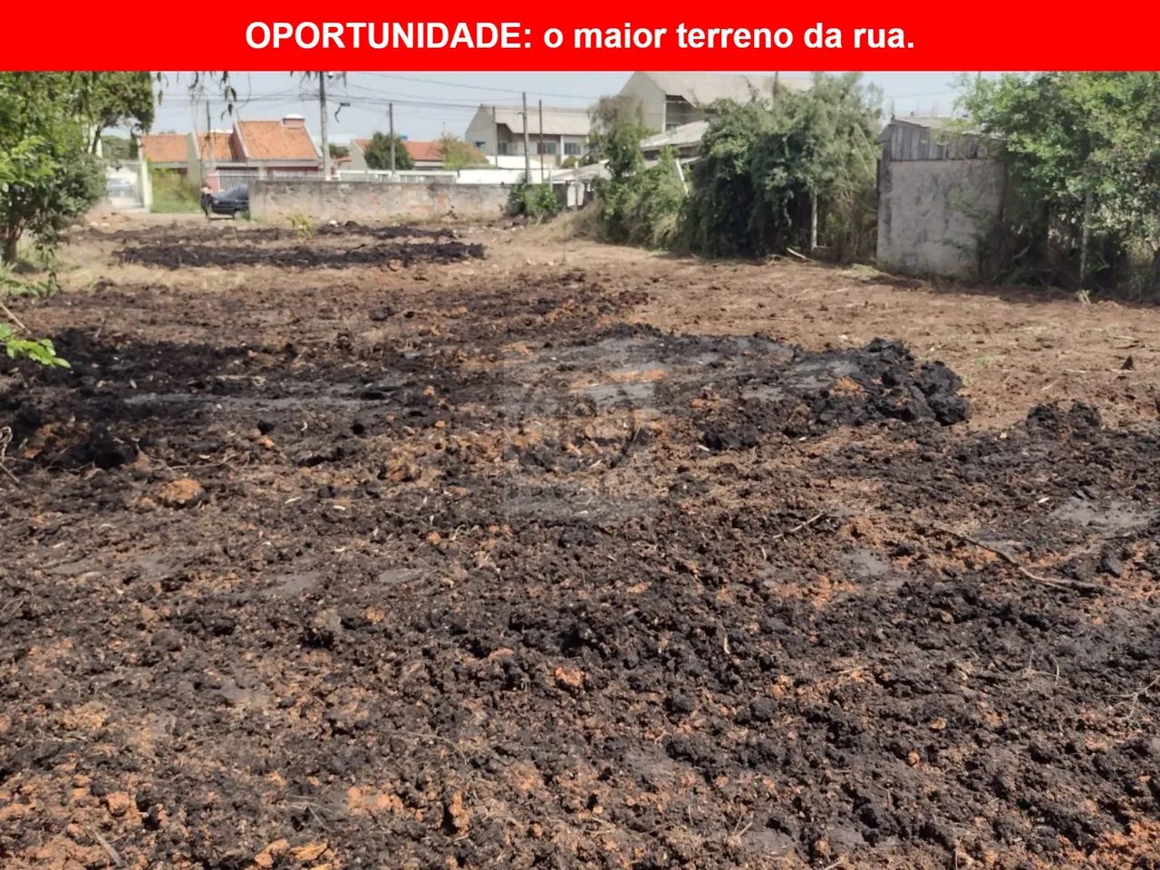 Terreno plano ZR4, meio de quadra, residencial com área total de 675,00m2 bairro Afonso Pe - Foto 5