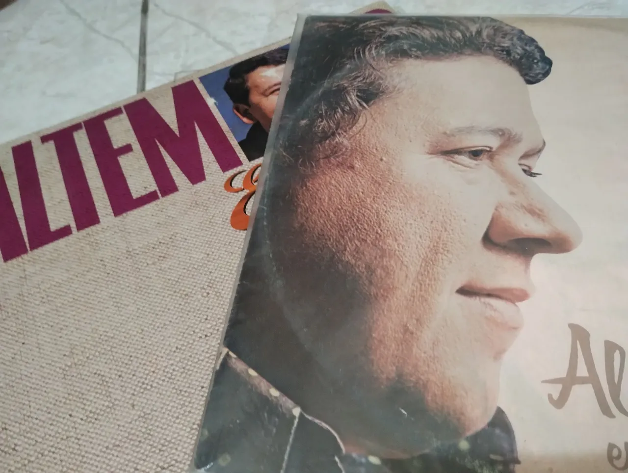 Discos de Vinil - Altemar Dutra