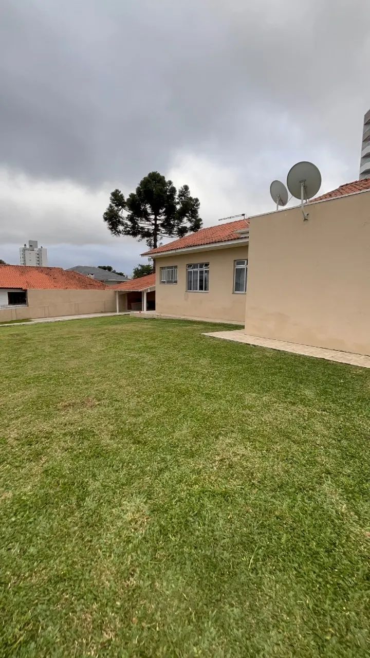 Jardineiro  - Foto 2