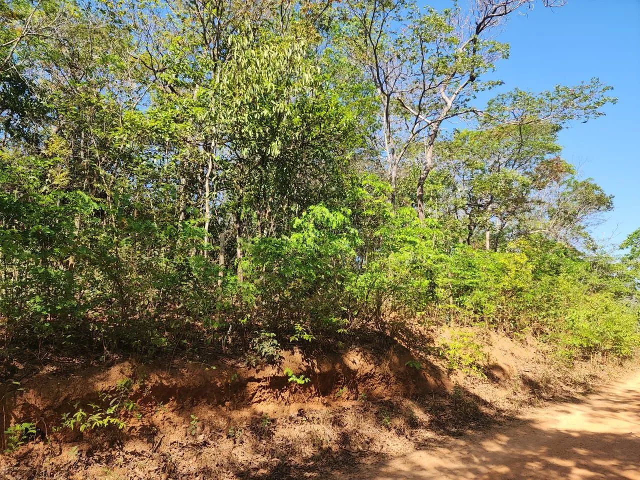 Magnífico terreno em jaboticatubas mg  - Foto 4