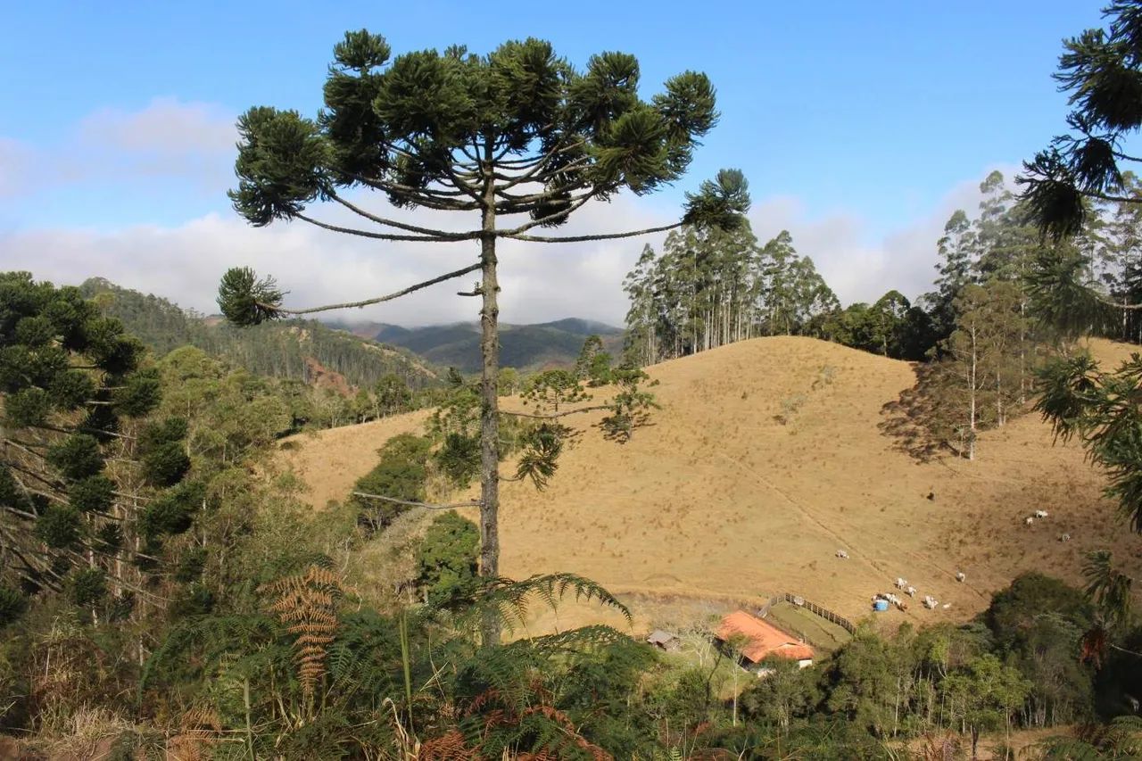Sítio para Venda em Cunha, Paraibuna