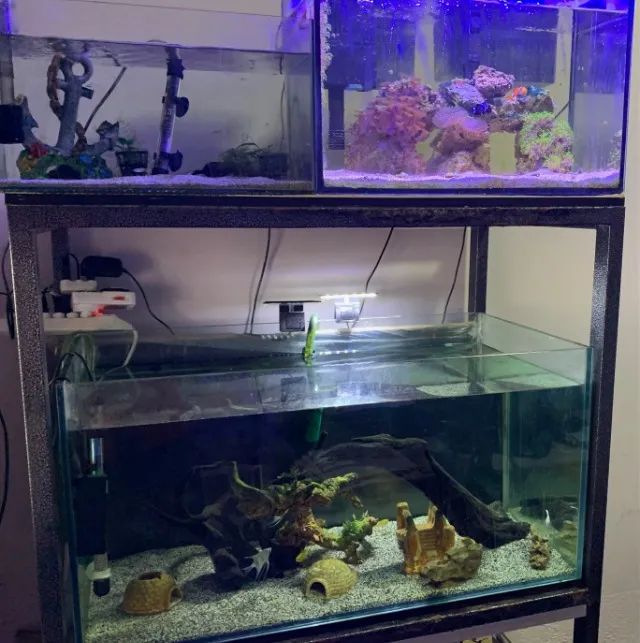 Vendo 3 Aquários Completos