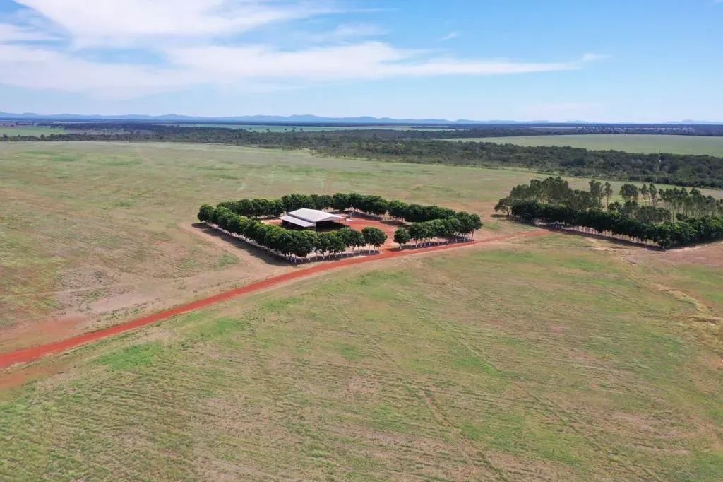 Fazenda a venda em Peixe Tocantins!!!