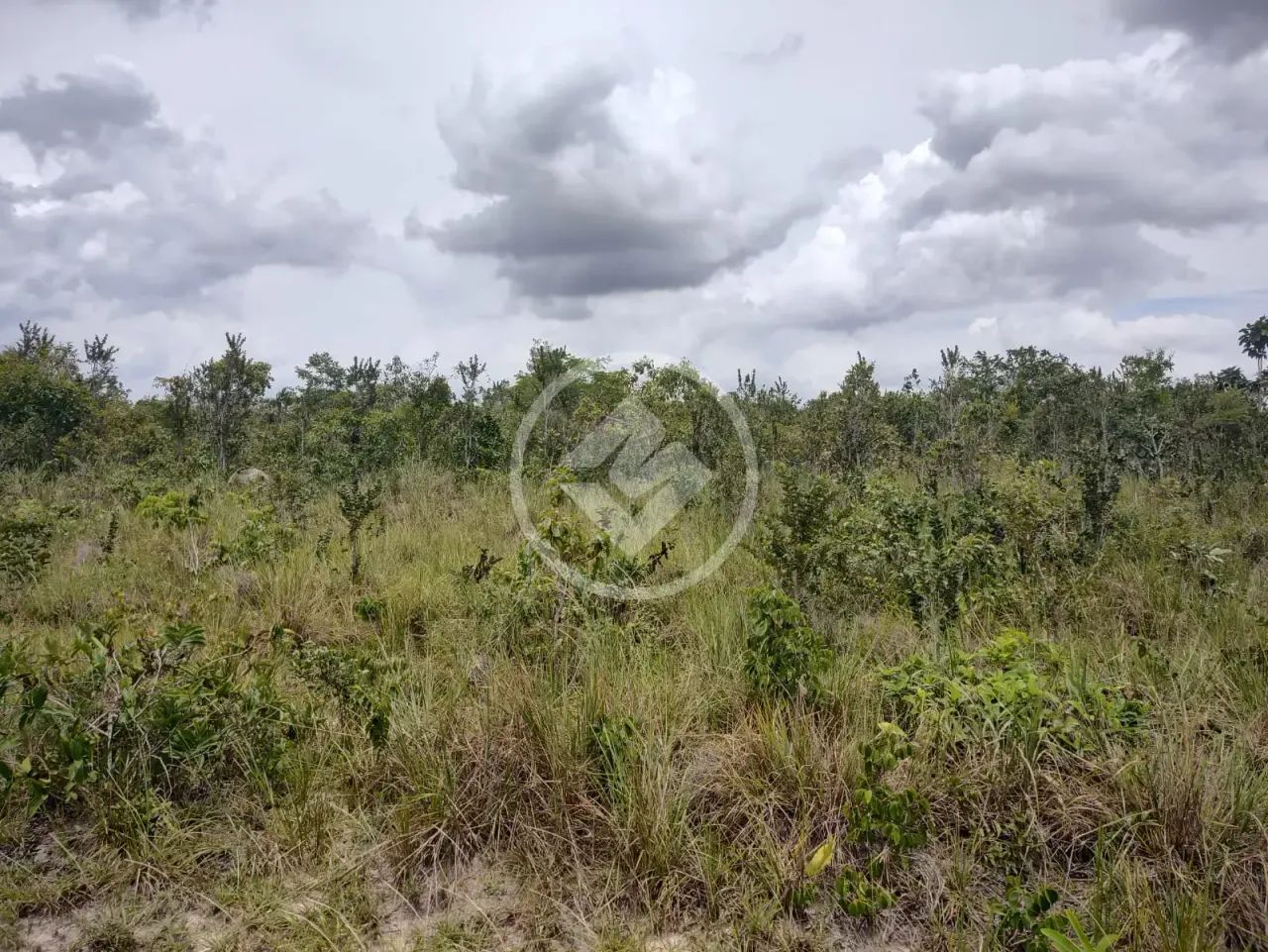 Excelente fazenda com dupla aptidão, a 14 km do munícipio de Colinas do Tocantins! codigo: - Foto 5