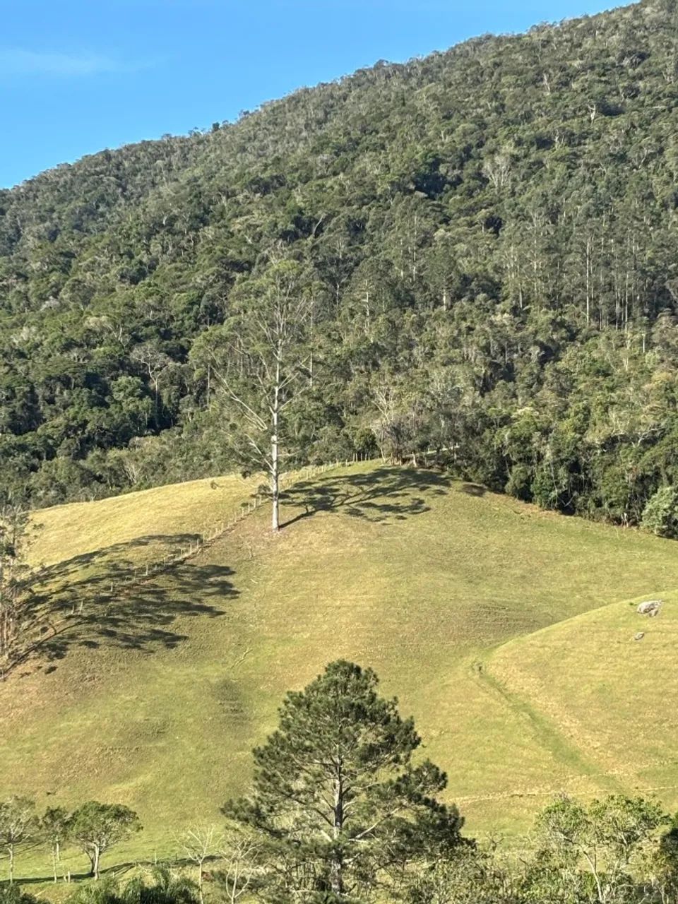 Lote para Venda em Angelina, PALHOCINHA - Foto 5