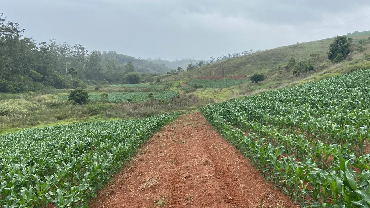 Vaga trabalhador rural (casal) - Foto 3