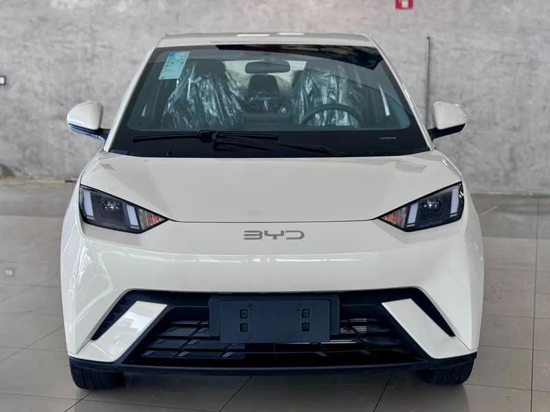 BYD Dolphin Mini (Elétrico) 2027 - Foto 2