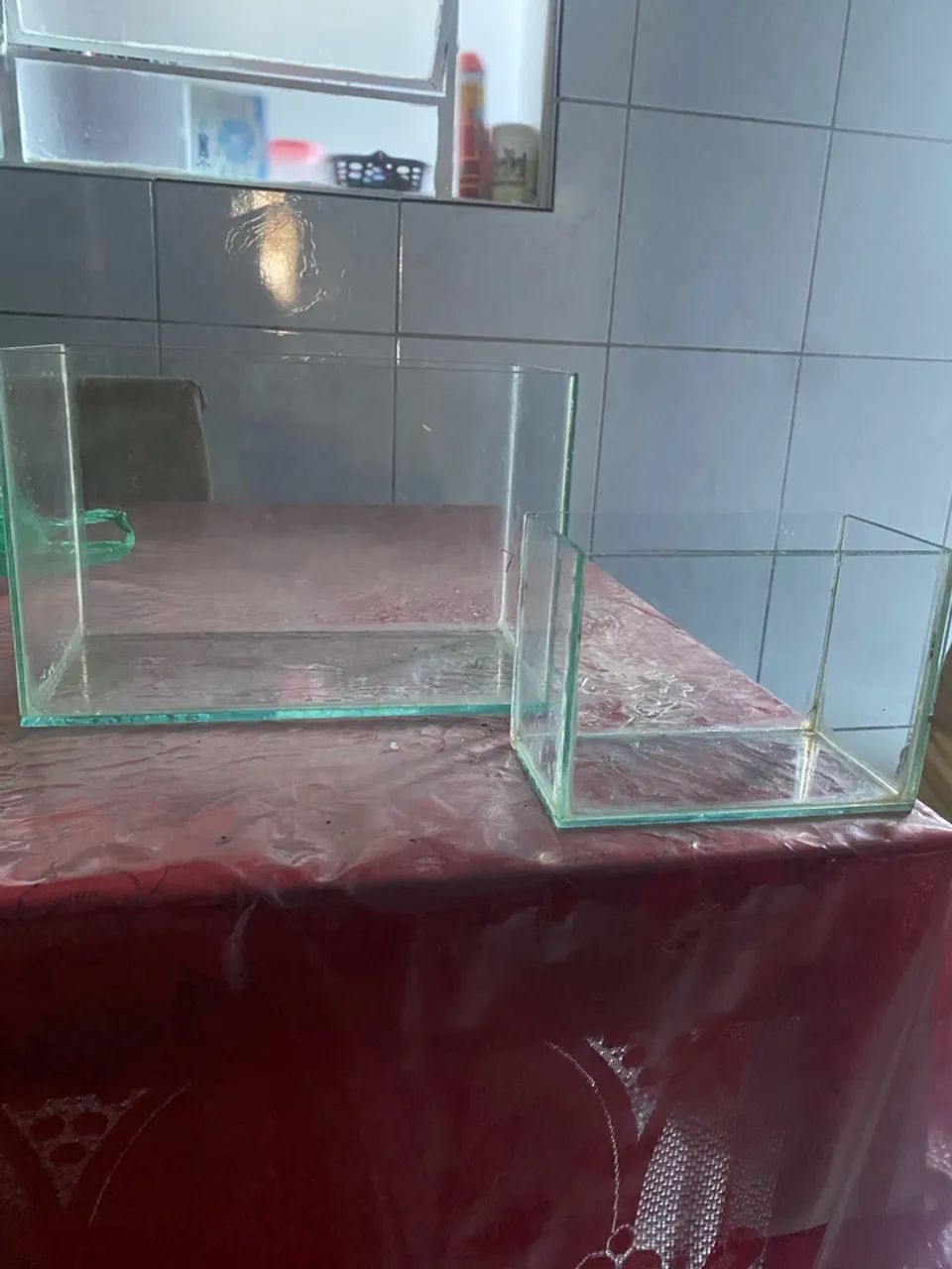 Aquários