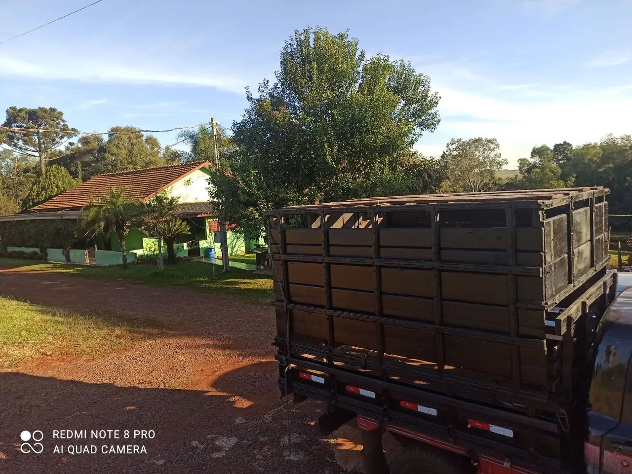 Gaiola boiadeira - Foto 4