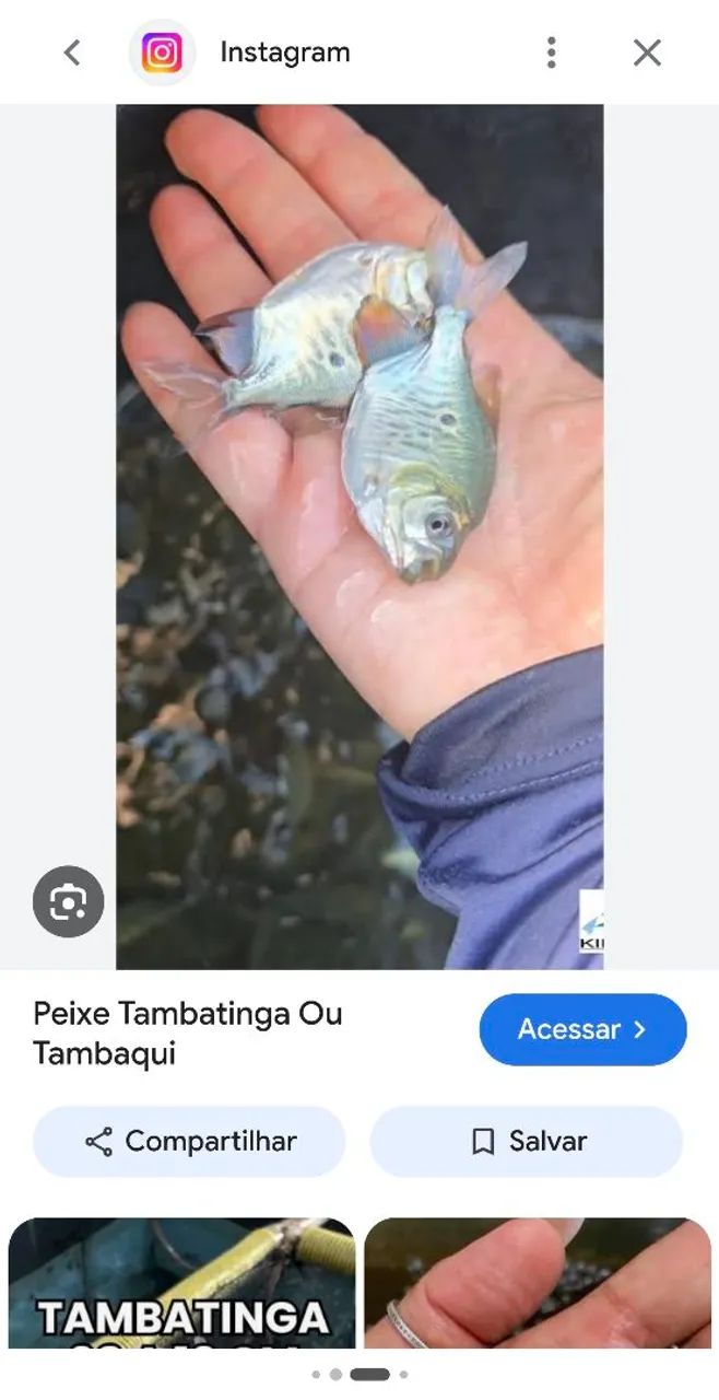 Para tanque e represa (engorda peixe) - Foto 2