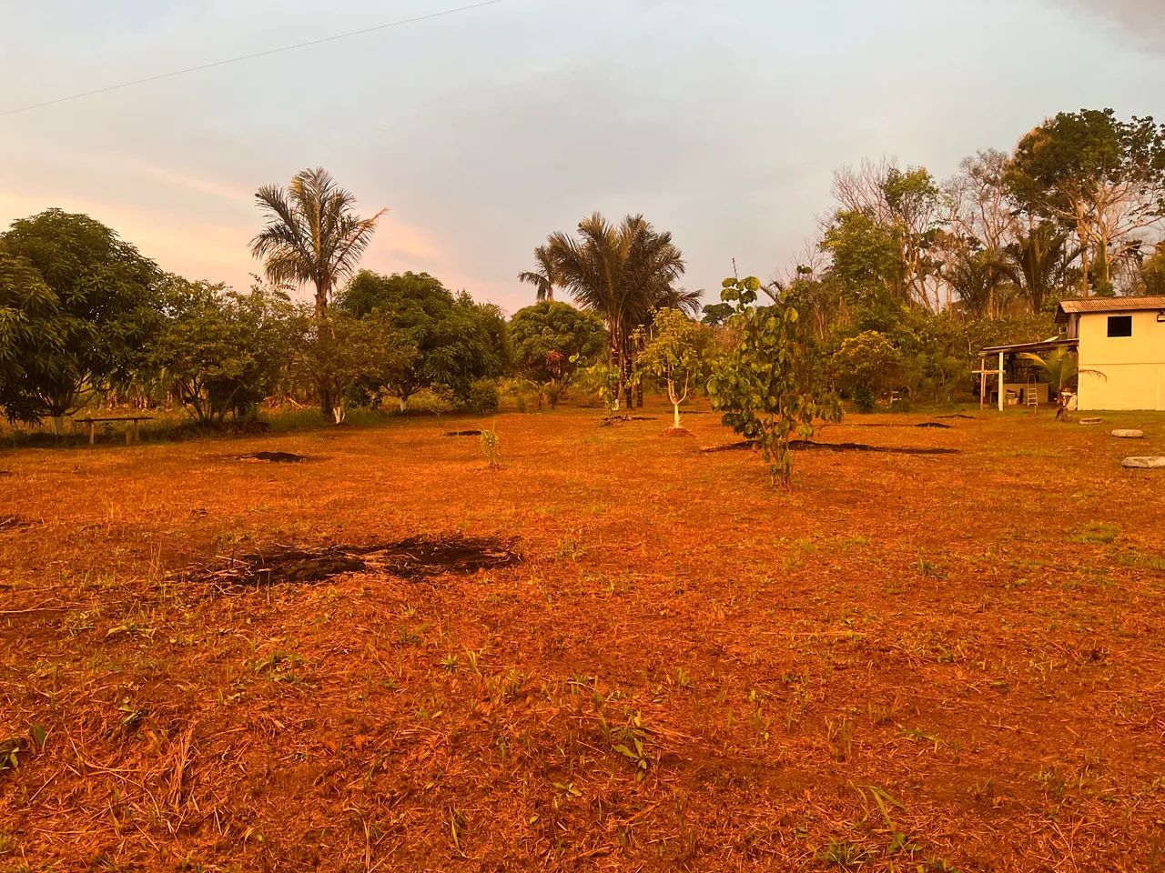 Vende-se sítio localizado no km 42