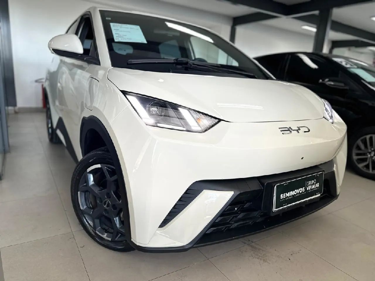 BYD Dolphin Mini (Elétrico) 2026