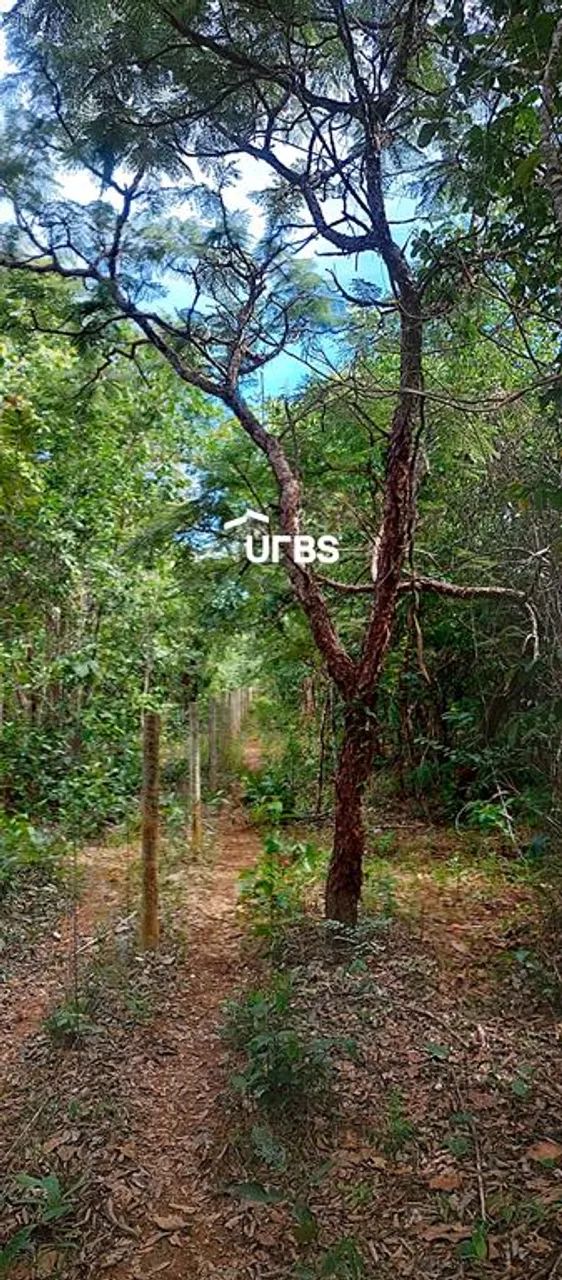 Terreno Rural em Pirenópolis