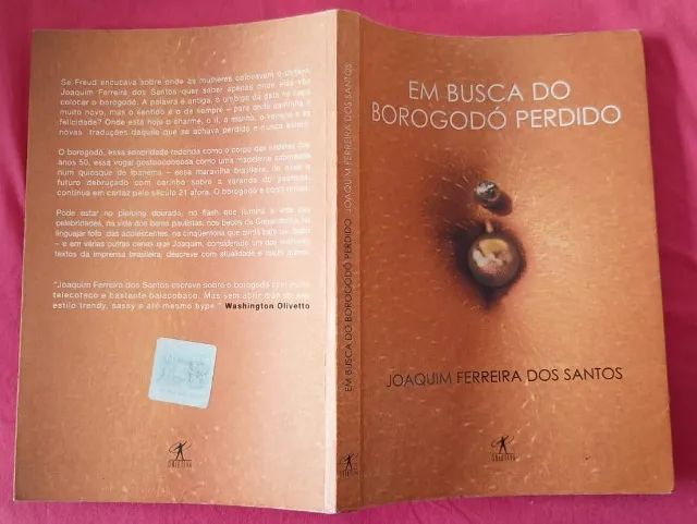 Livro: Em Busca do Borogodó Perdido - Foto 3