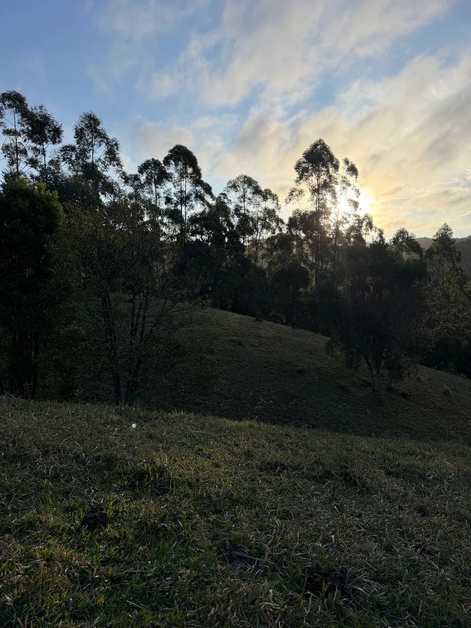 ANITÁPOLIS/SC - Terreno para sítio próximo a cidade 2 hectares  - Foto 3
