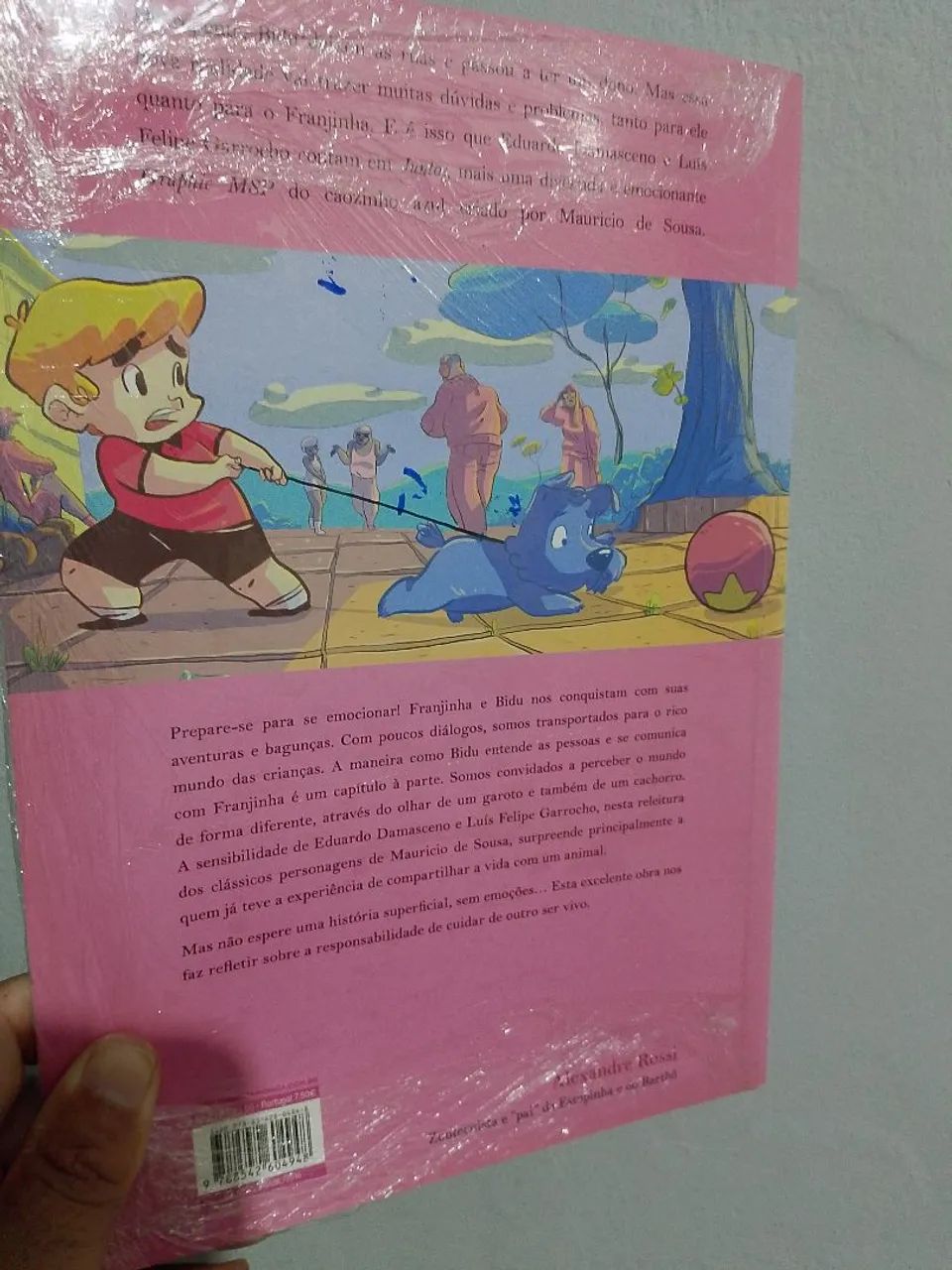 MÔNICA - BIDU: JUNTOS MSP PANINI  - Foto 3