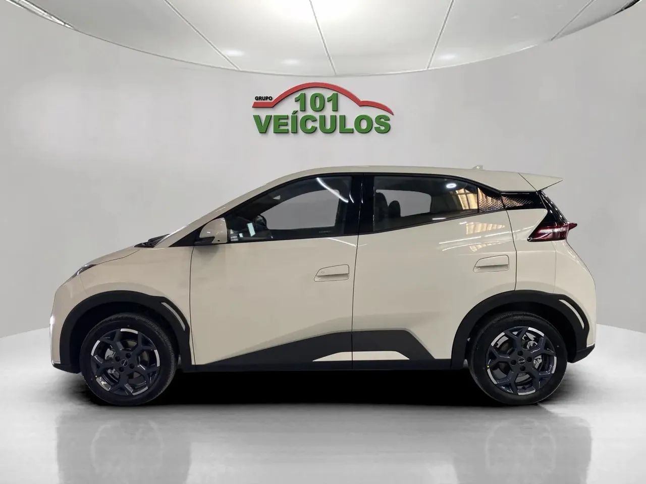 BYD Dolphin GS (Elétrico) 2027 - Foto 3