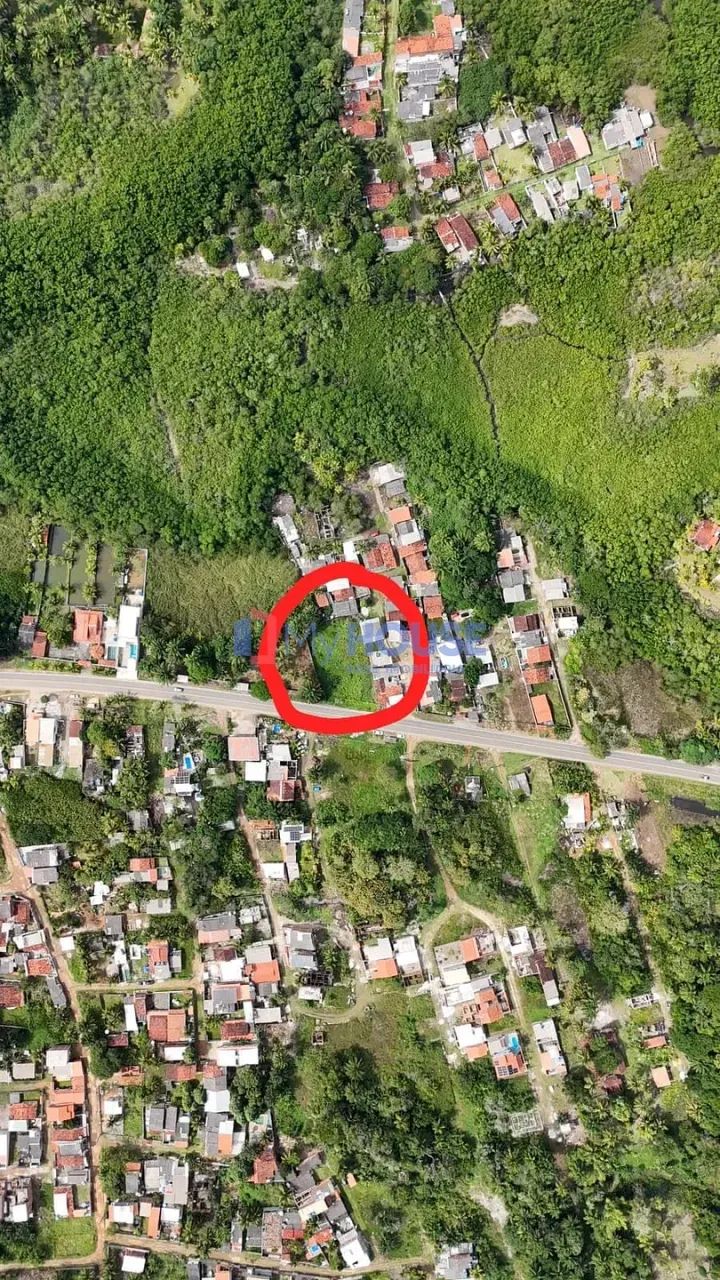 Lote à Venda, Aritaguá, Ilhéus, BA - Foto 5