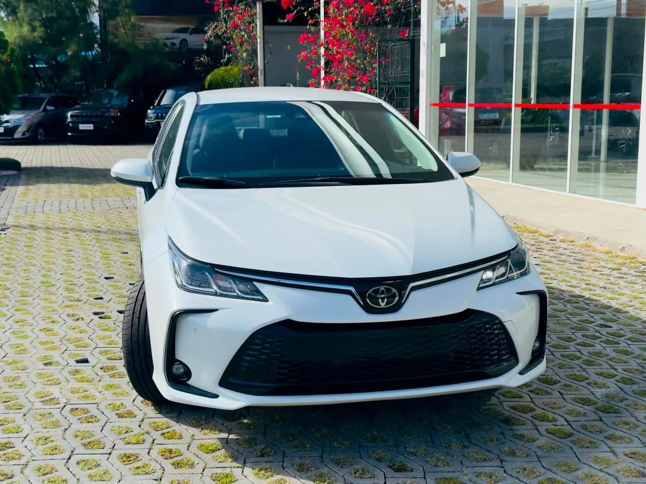 Toyota Corolla 2024