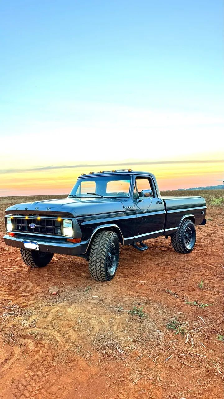 Ford F-1000 S. S. Diesel / S.s. Diesel Turbo 1990