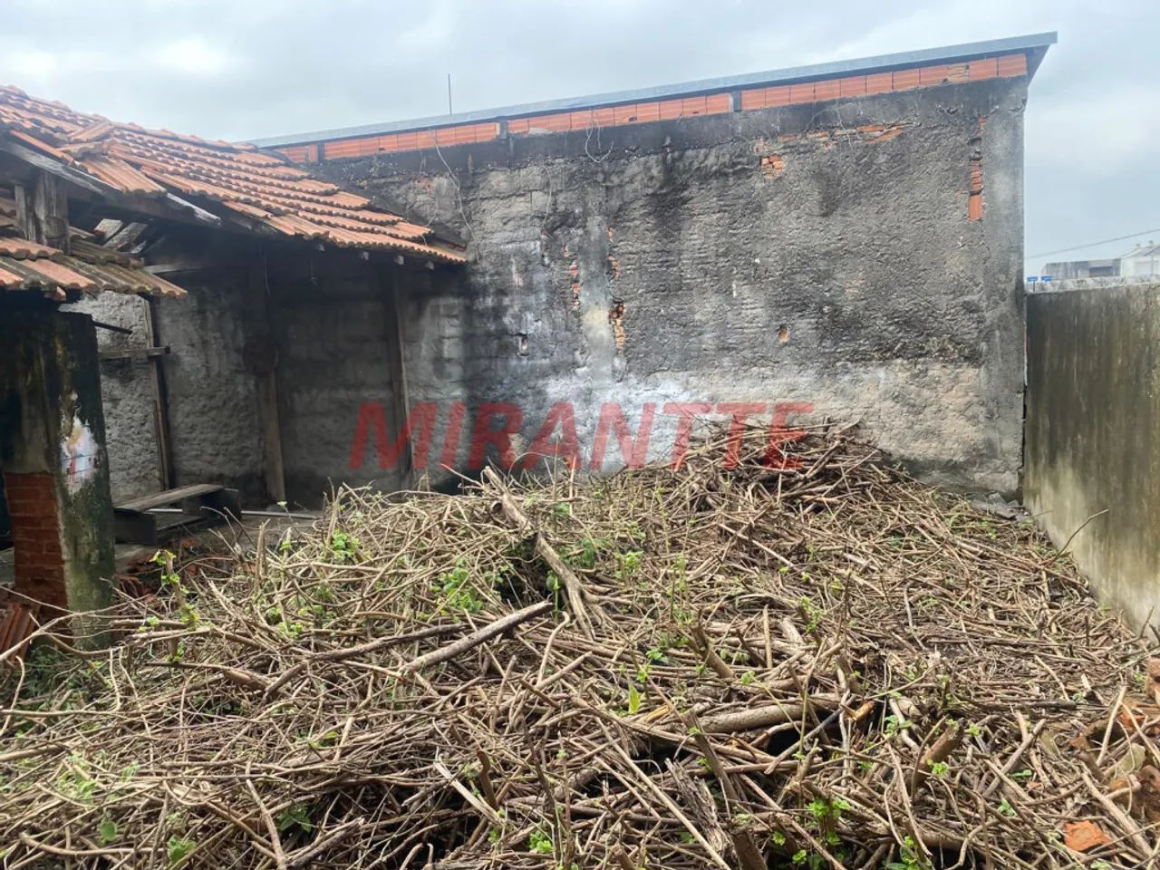 Terreno em Vila Gustavo - Foto 3