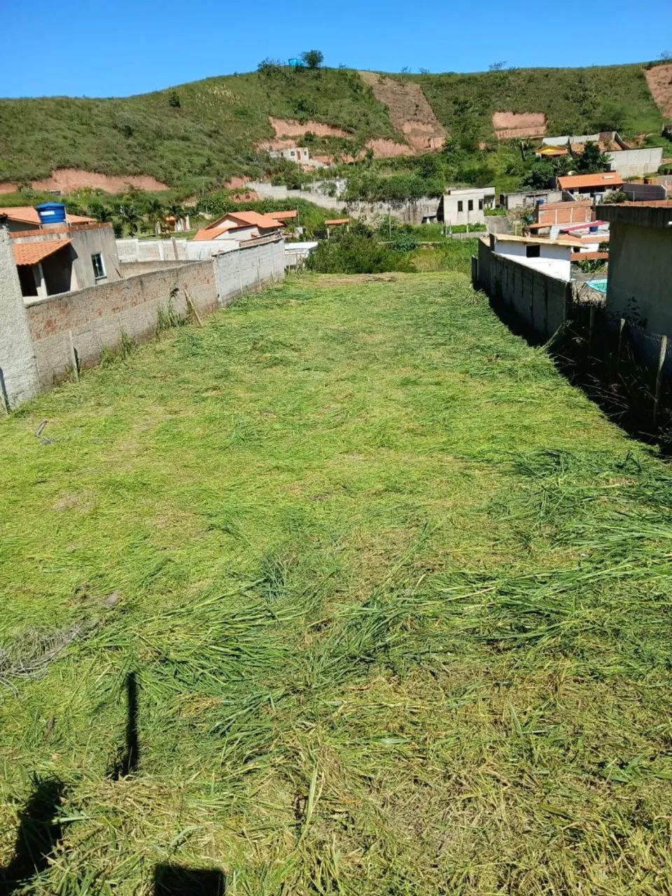 Granja lote Oportunidade - Foto 3