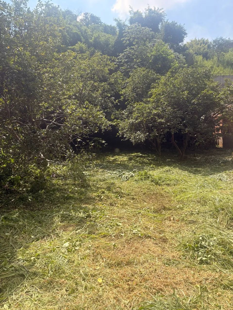 Ótima oportunidade! Terreno no Ano Bom - Foto 5