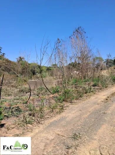 Sítio para Venda em Limeira, BAIRRO DO PINHAL - Foto 5