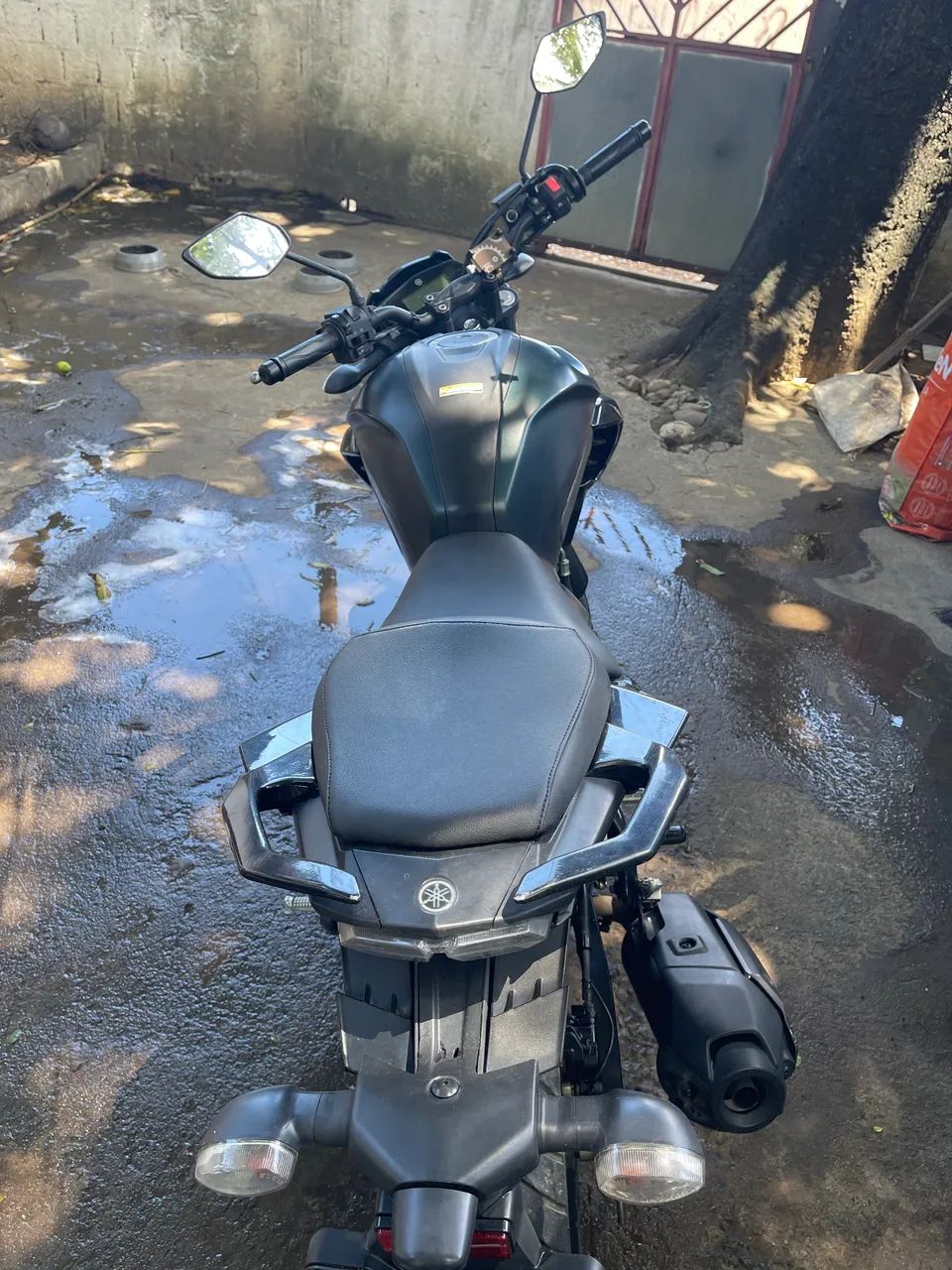 Fz 25 2024 - Foto 5