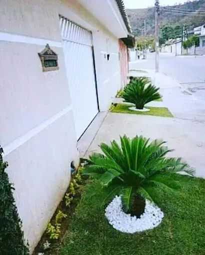 jardim - Foto 3