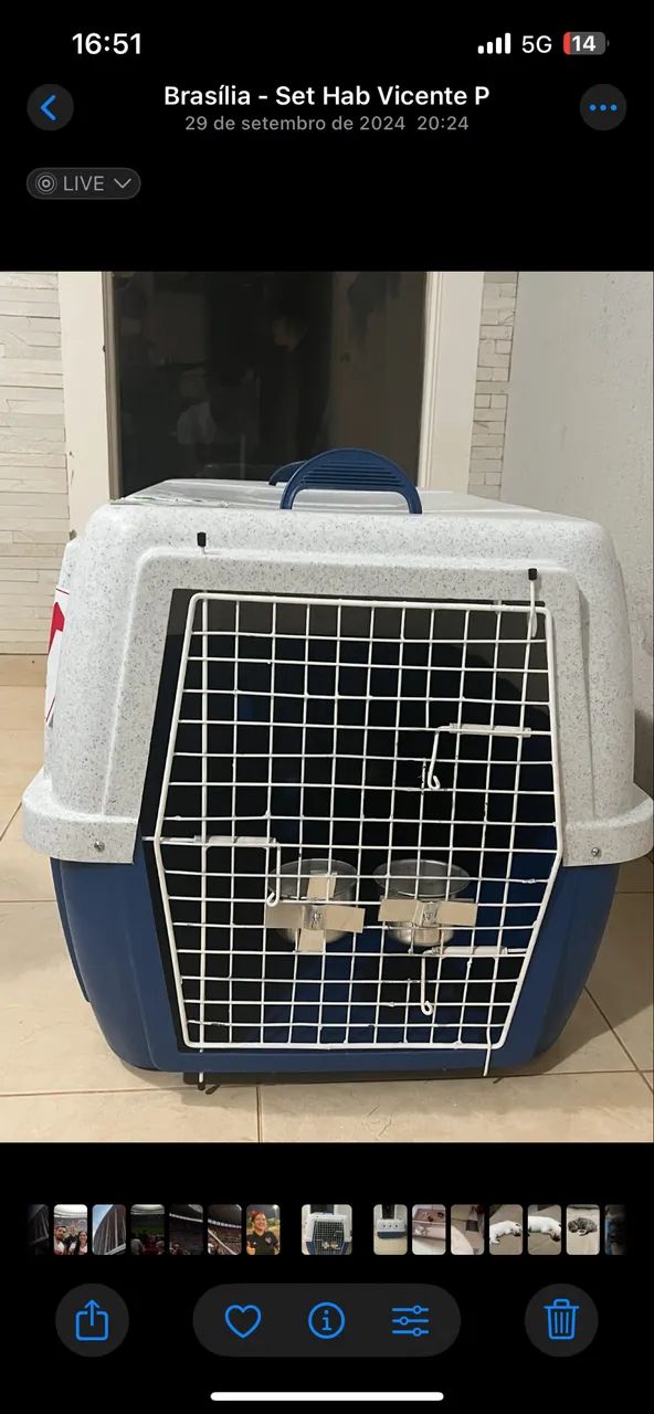 Clicknew Pet Carrier Size 4, LATAM Flight Approved