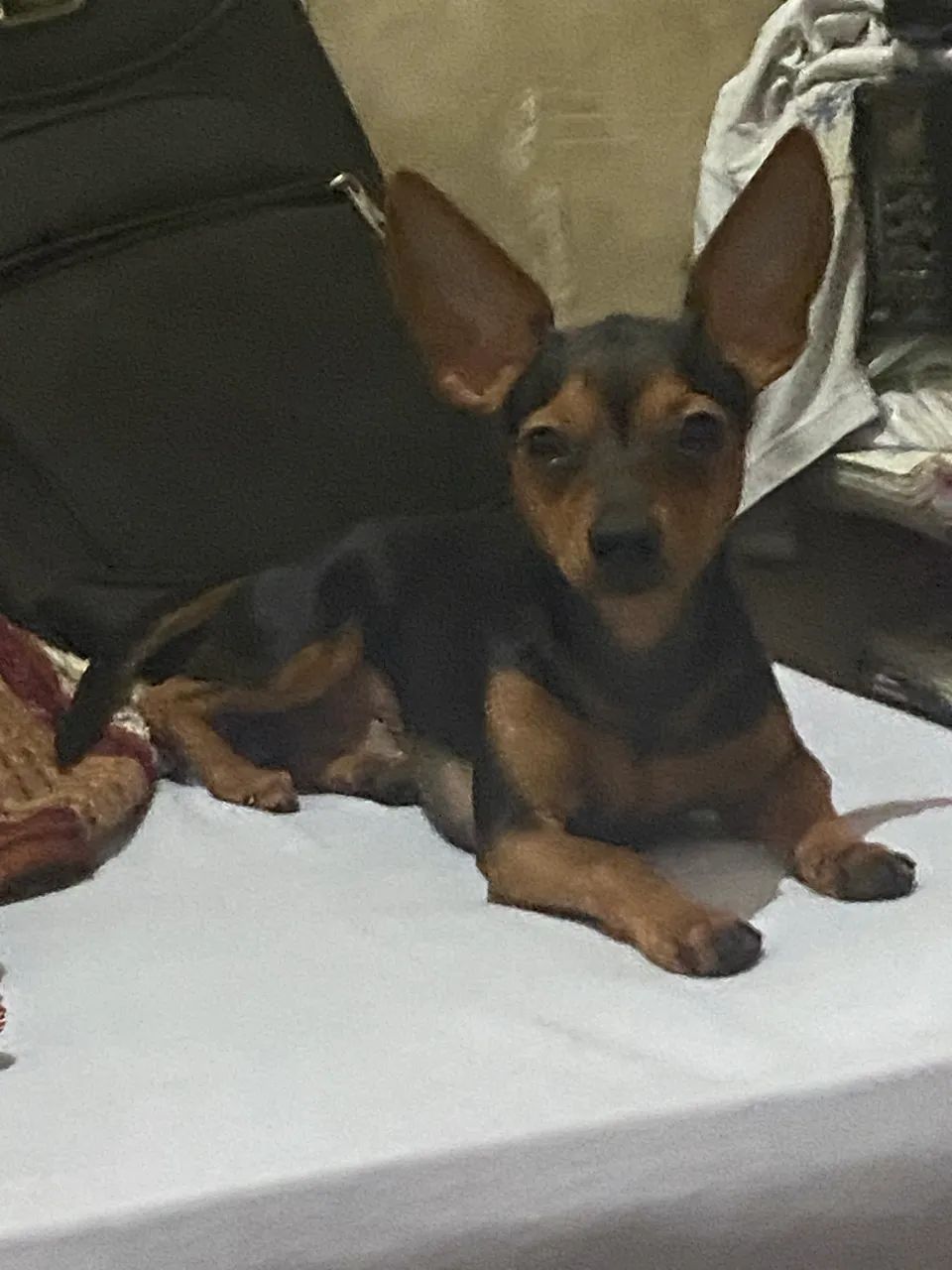 Procuro uma namorada!!! - Foto 3