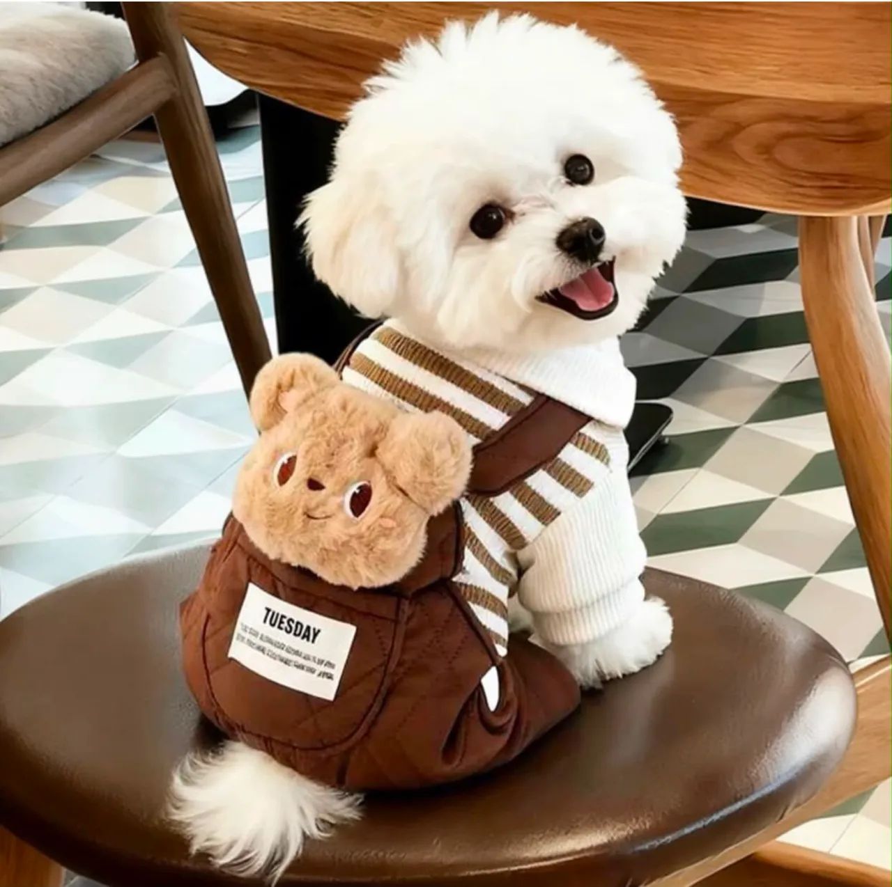 Roupa Para Pet Macacão Acolchoado Com Ursinho - Foto 4