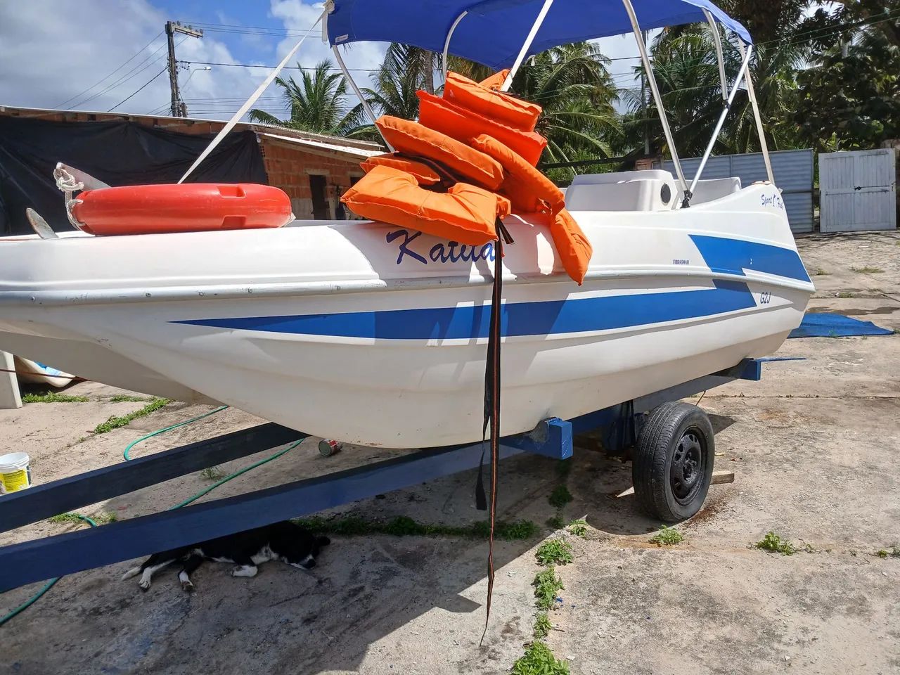 Sport fish sem motor  - Foto 5