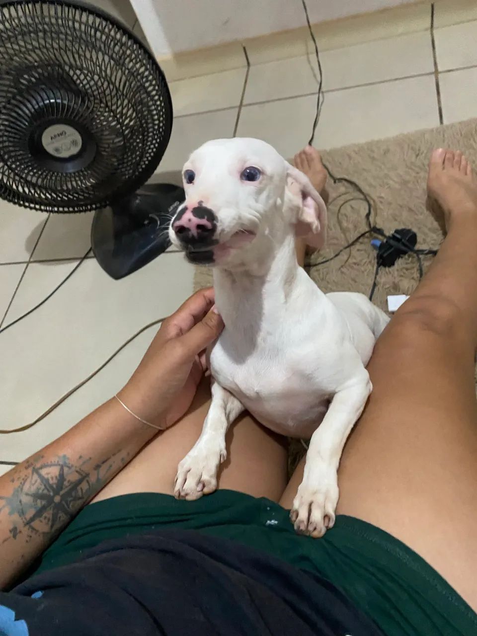 Procuro namorado  - Foto 5