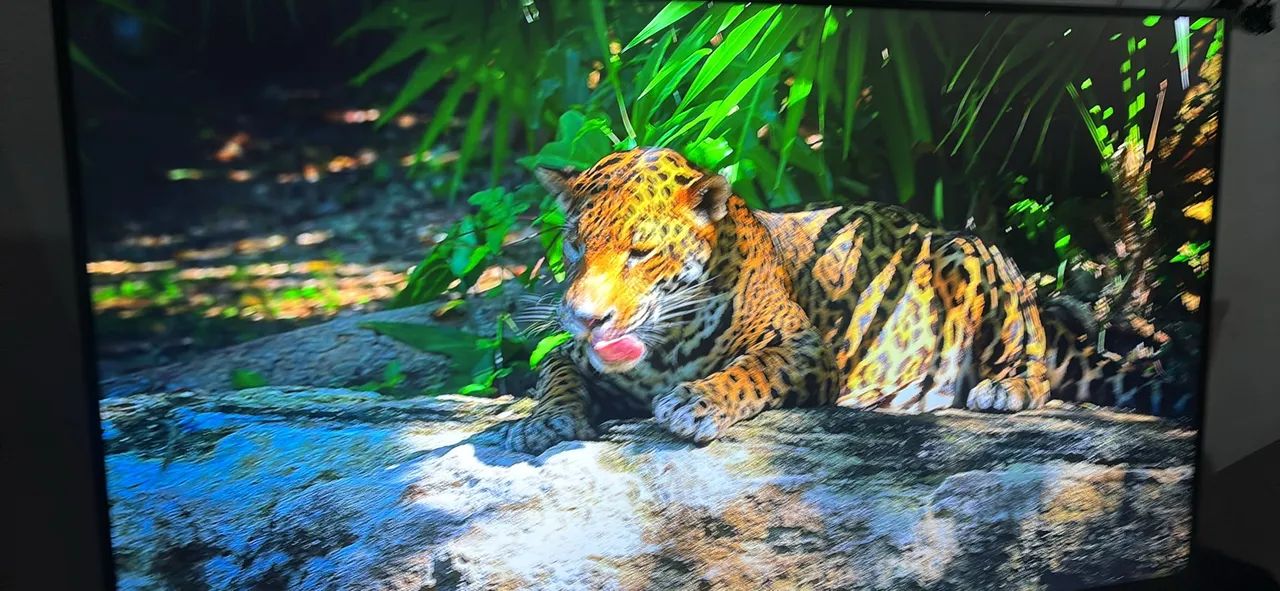 LG 65 polegadas 4K semi Nova ( pouco usada )  - Foto 2