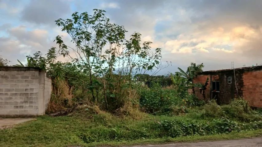 2 Terrenos 12×60 - Foto 5