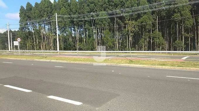Condomínio Caminhos de San Conrado (Sousas), à venda, Campinas - Foto 3