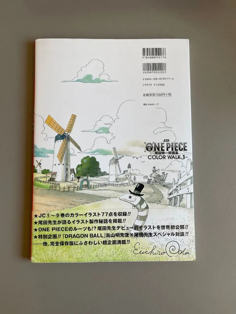 one piece color walk 1 art book edição japonesa - Livros e