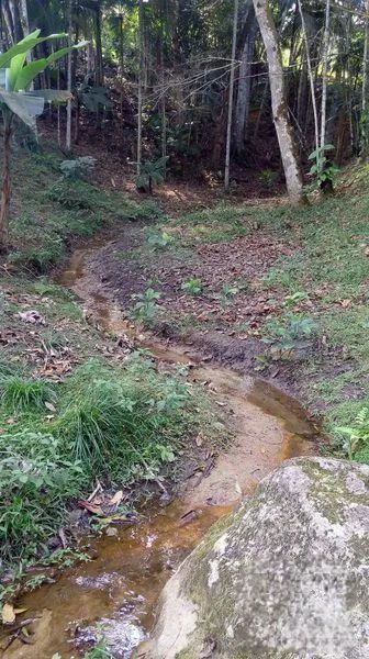 Sitio a venda  - Foto 4