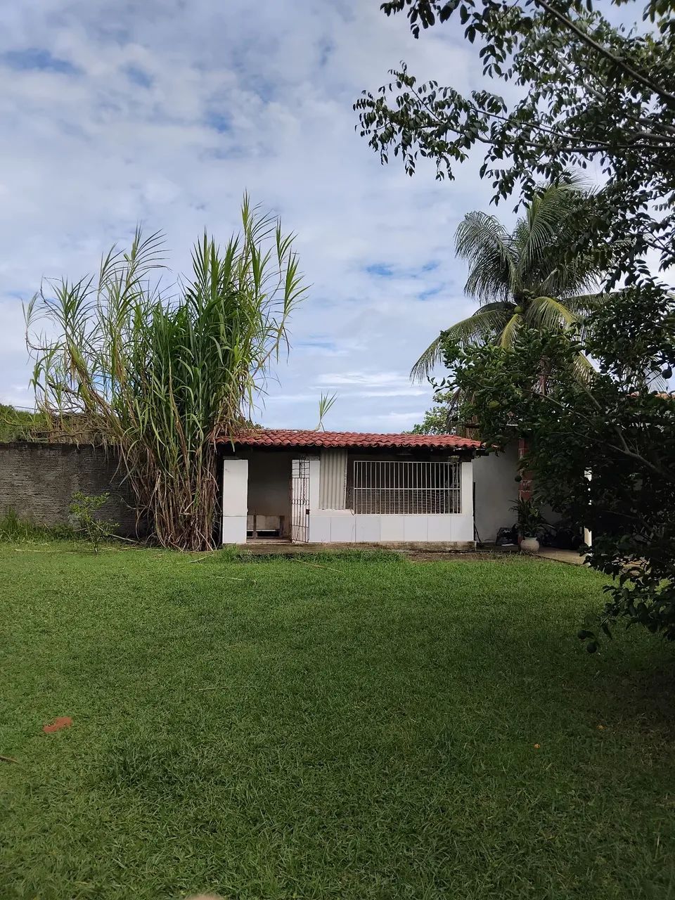 Vendo uma linda Chácara super Barato  - Foto 3