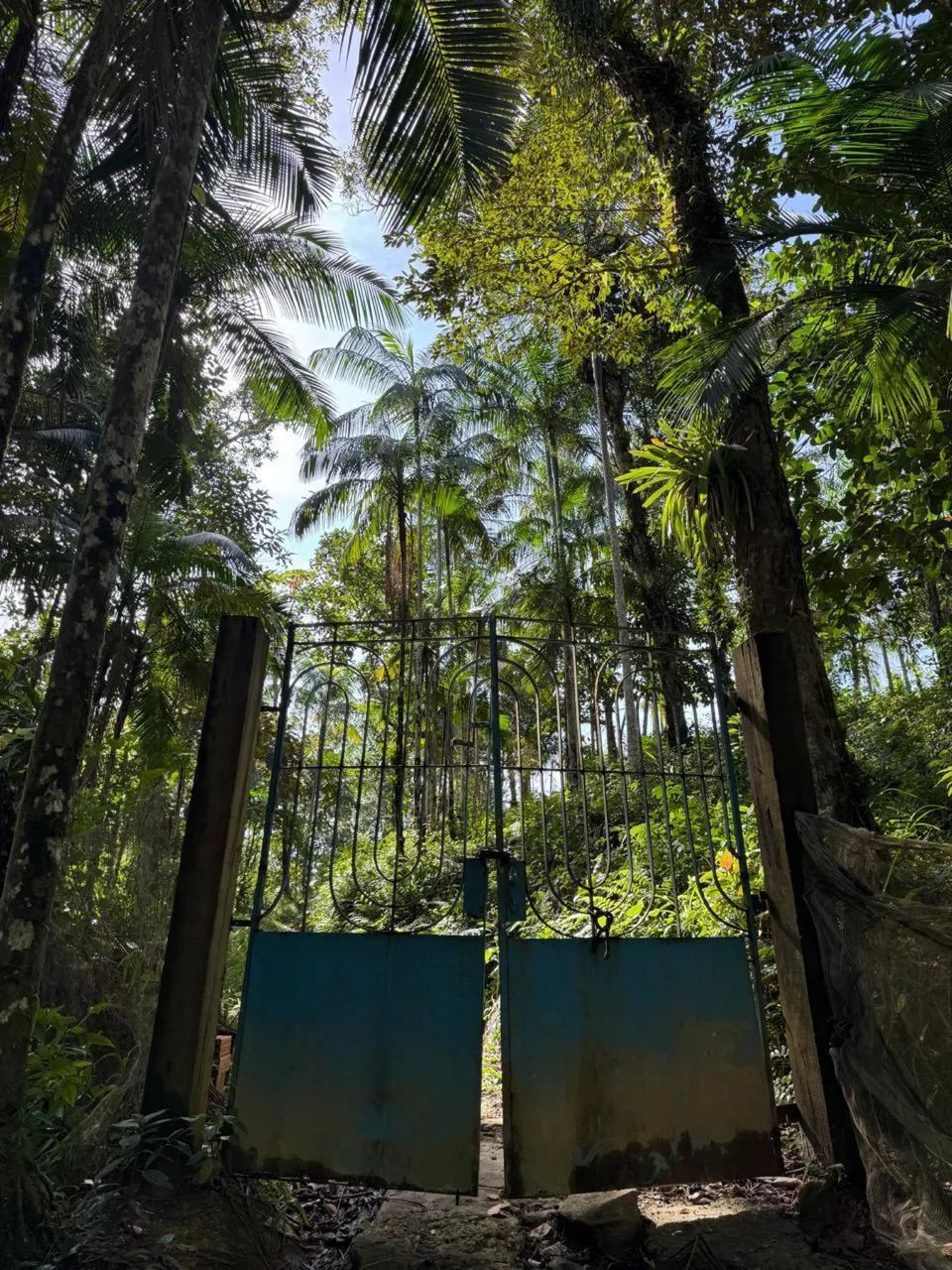 Sitio em Sao Vicente litoral de sp - Foto 3