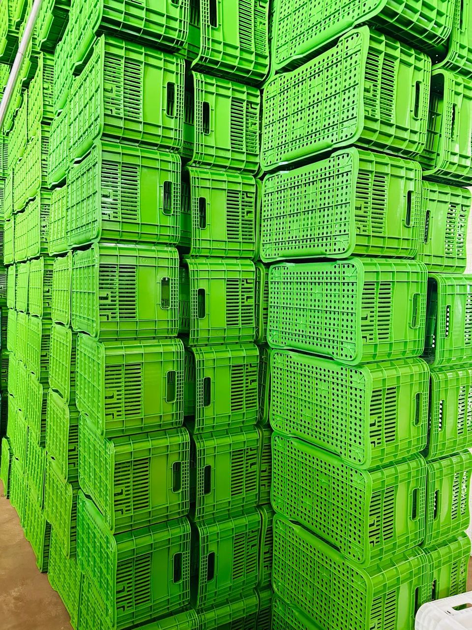 Caixas Plásticas Caixas Organizadoras Caixas hortifruti  - Foto 5