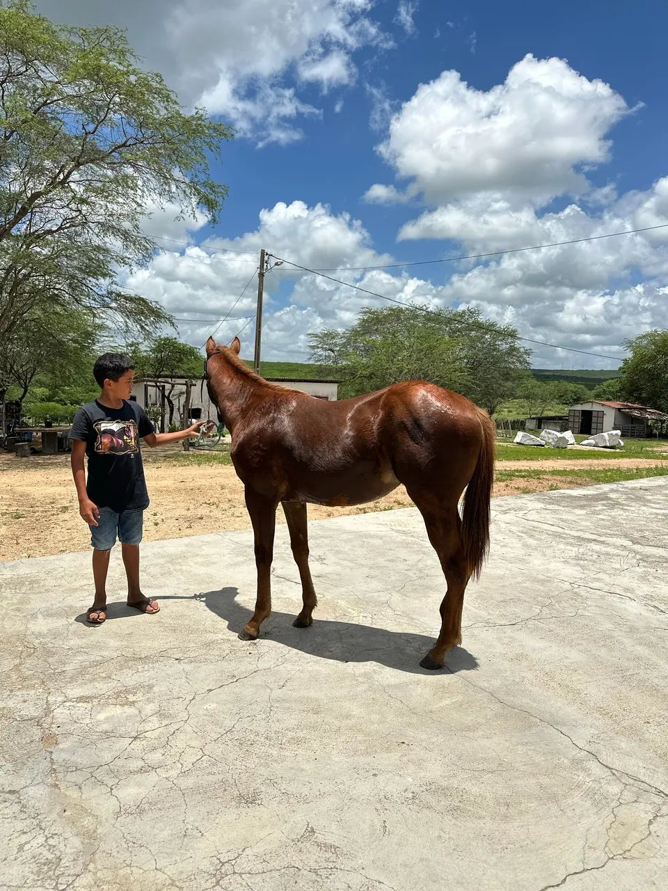 POTRA NETA DO ROXÃO  - Foto 3
