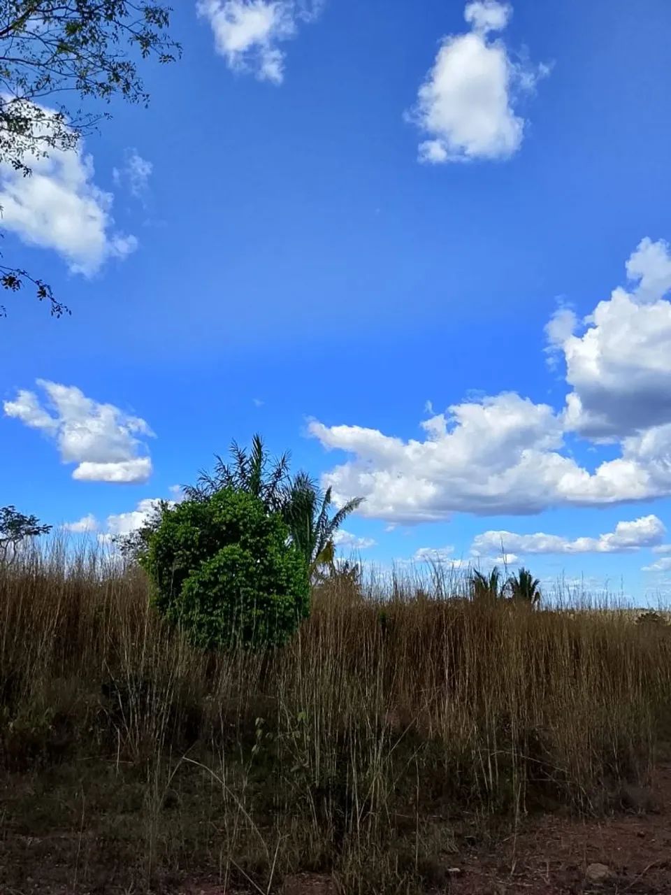 Vende-se Chácara  - Foto 4