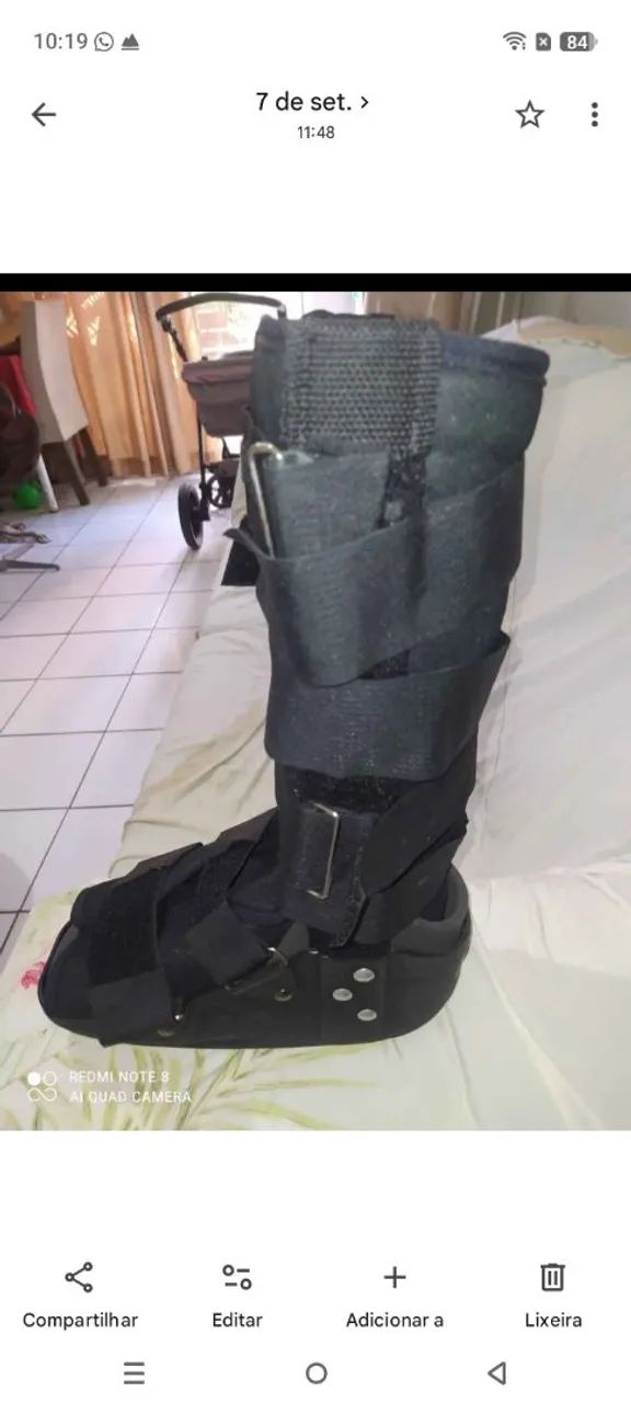 Bota