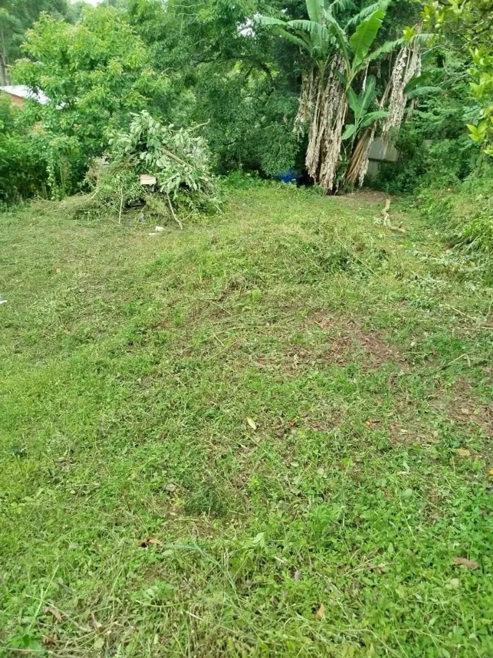 Terreno em Almirante Tamandaré  - Foto 2