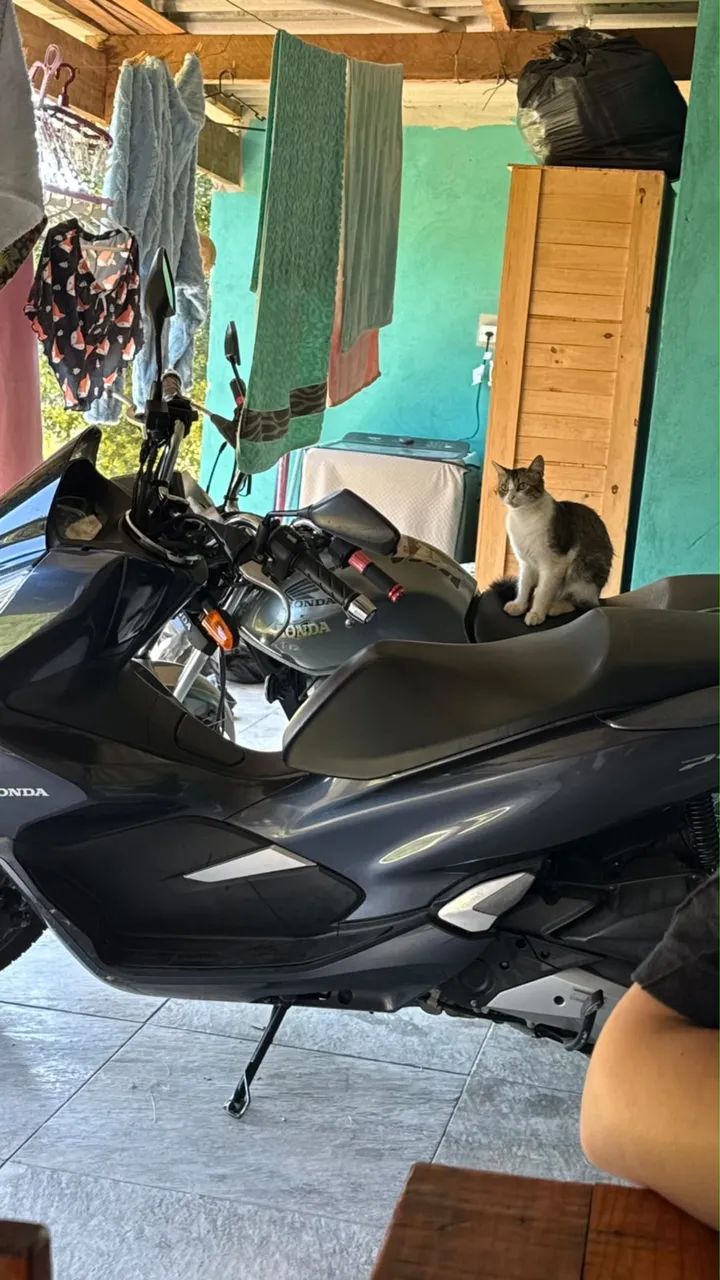 Pcx 150 cc  - Foto 2