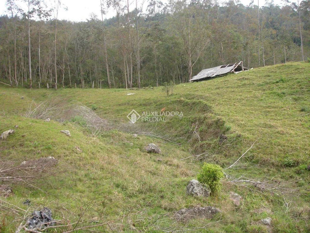 Área rural com 20 ha (20 hectares) em São Pedro de Alcântara - Foto 3