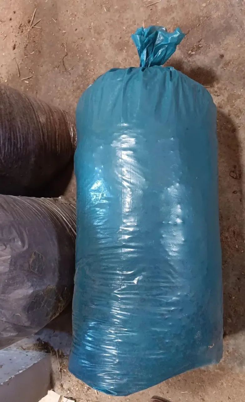 Adubo para plantar 
